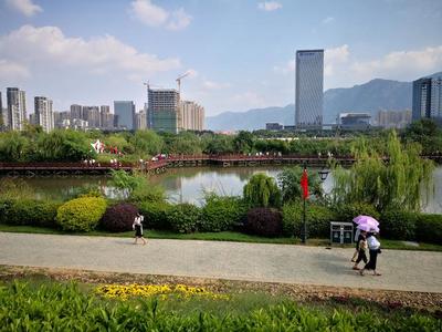 福州國慶節最火的一座公園,向日葵花海美翻了!