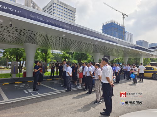 福州市政協開展新能源產業培育視察活動，助力綠色經濟發展